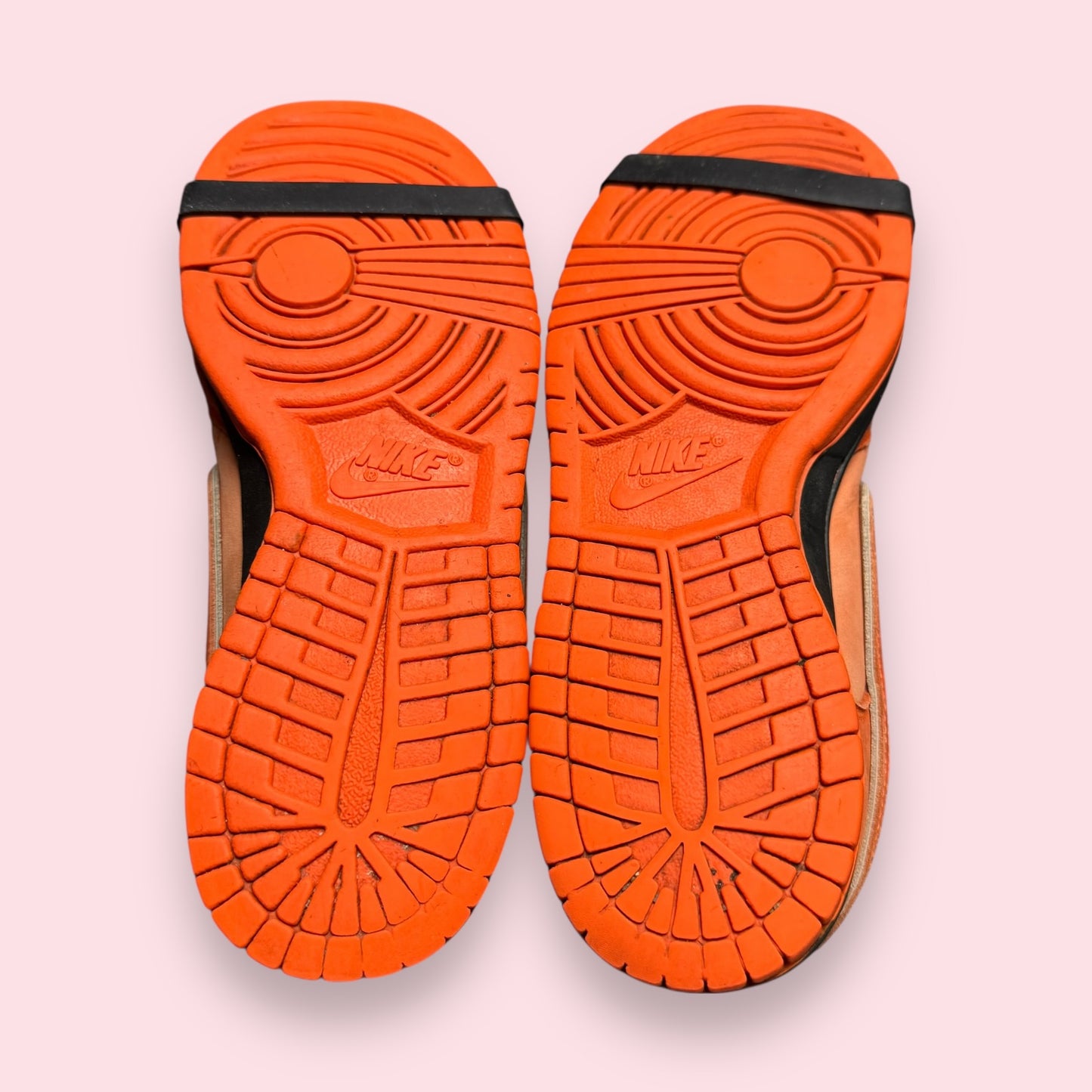 Dunk SB Orange Lobster Concept - 40