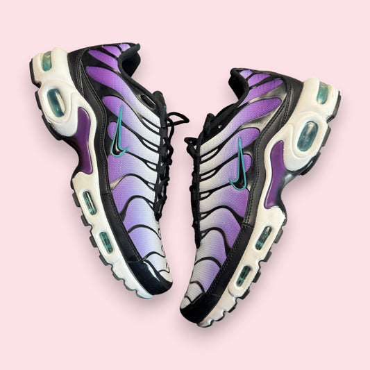 Air Max Plus Tn Reverse Grape  - 43