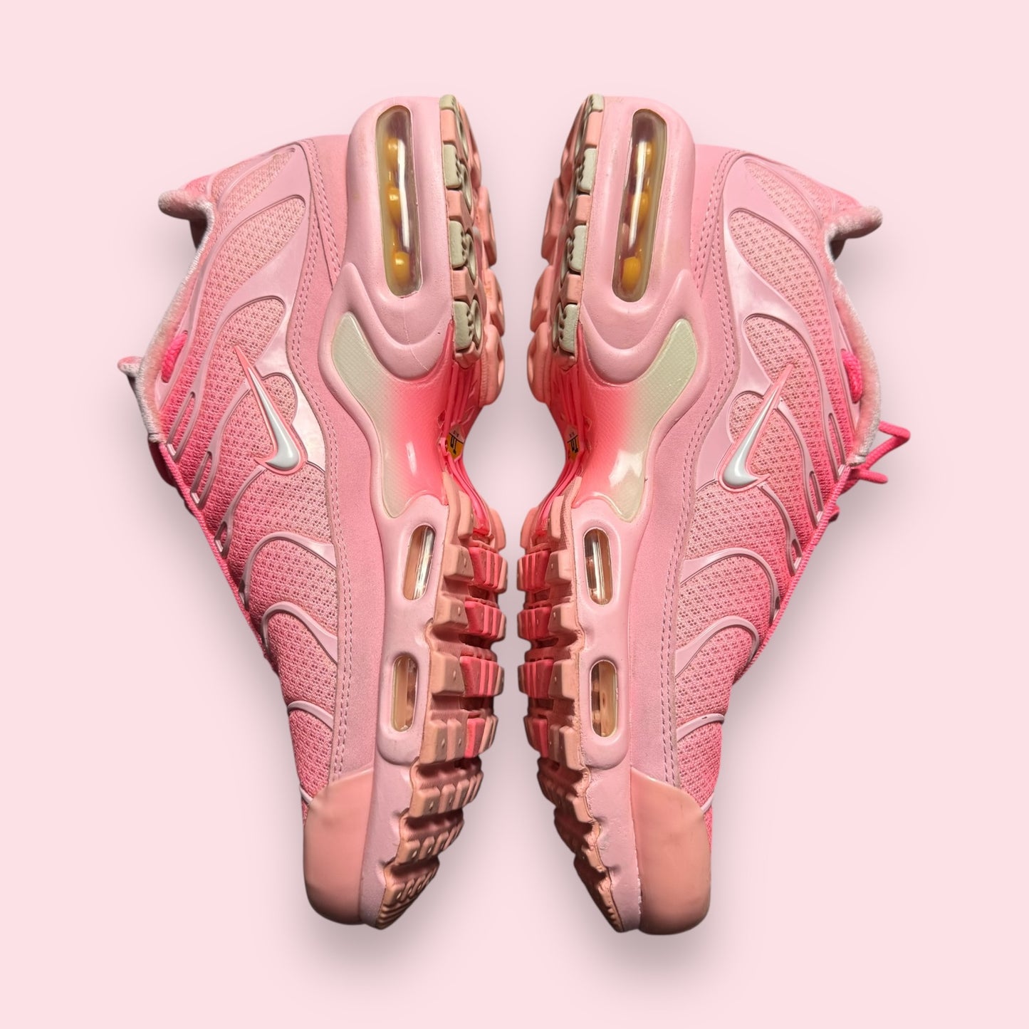 Air Max Plus Tn Atlanta ATL - 40.5