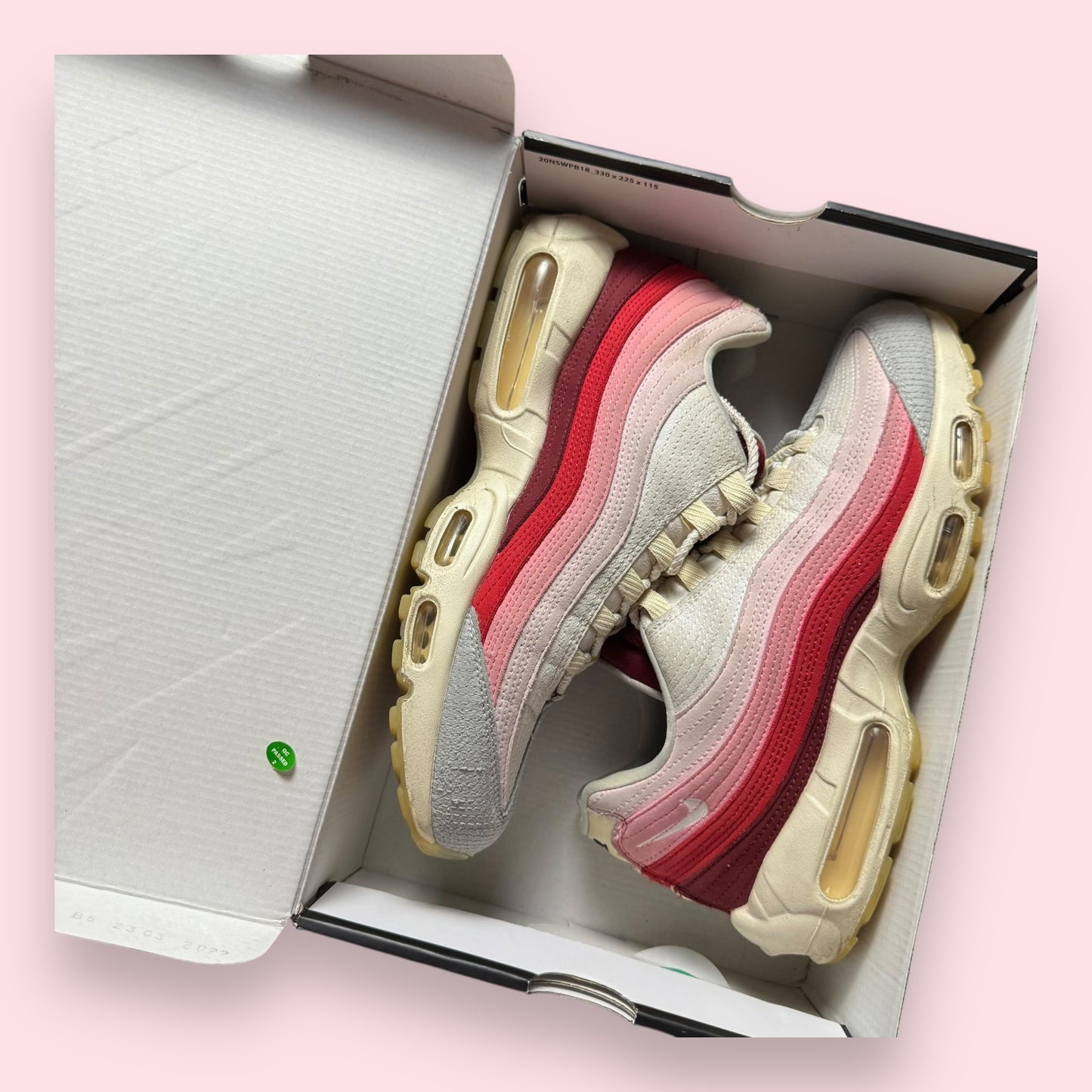 Air Max 95 Anatomy Of Air - 44.5