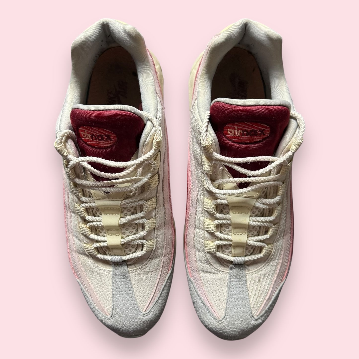 Air Max 95 Anatomy Of Air - 44.5