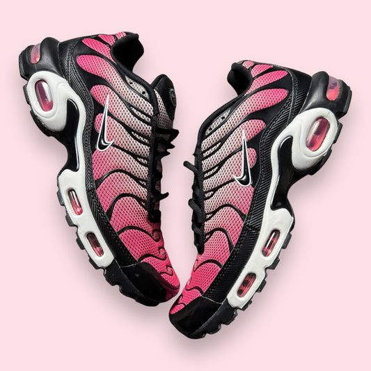 Air Max Plus Tn All Day - 43