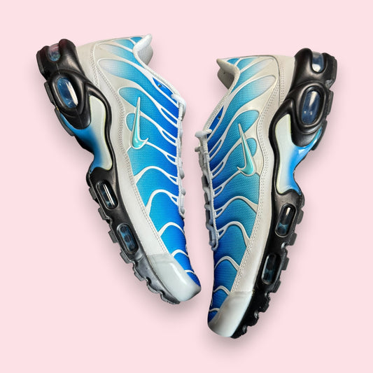 Air Max Plus Tn One Block Down Blue - 44