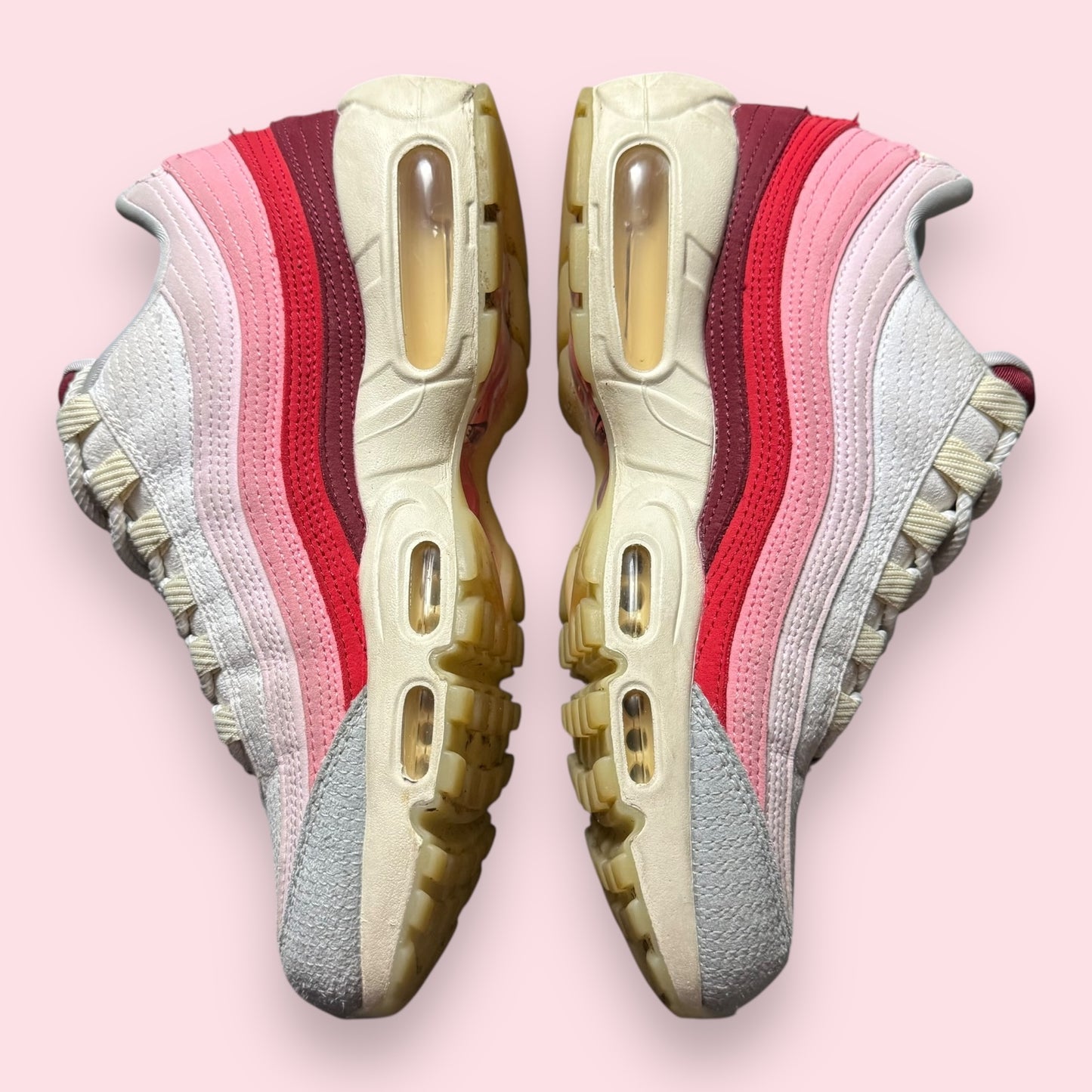 Air Max 95 Anatomy Of Air - 40.5
