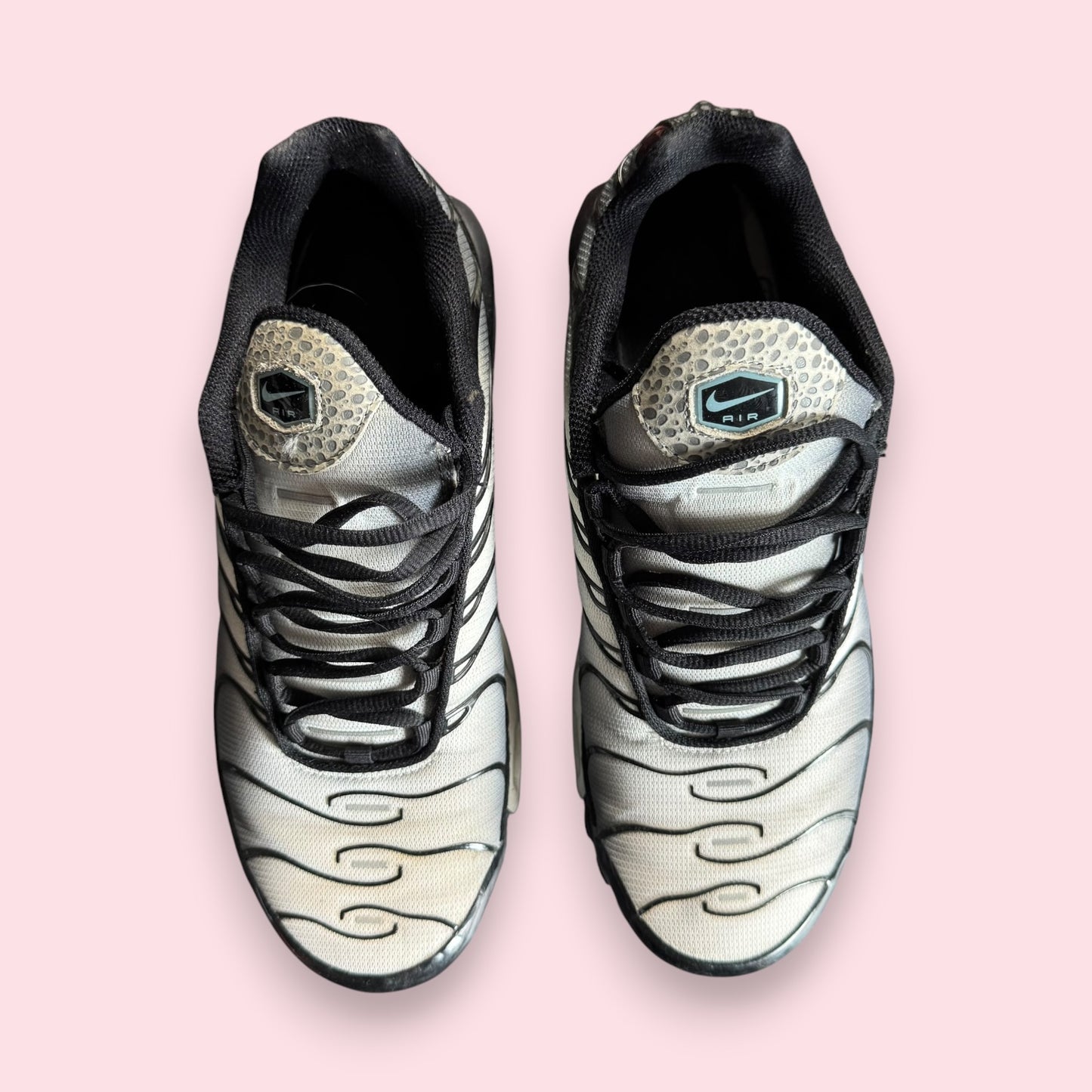 Air Max Plus Tn Kiss my airs - 43