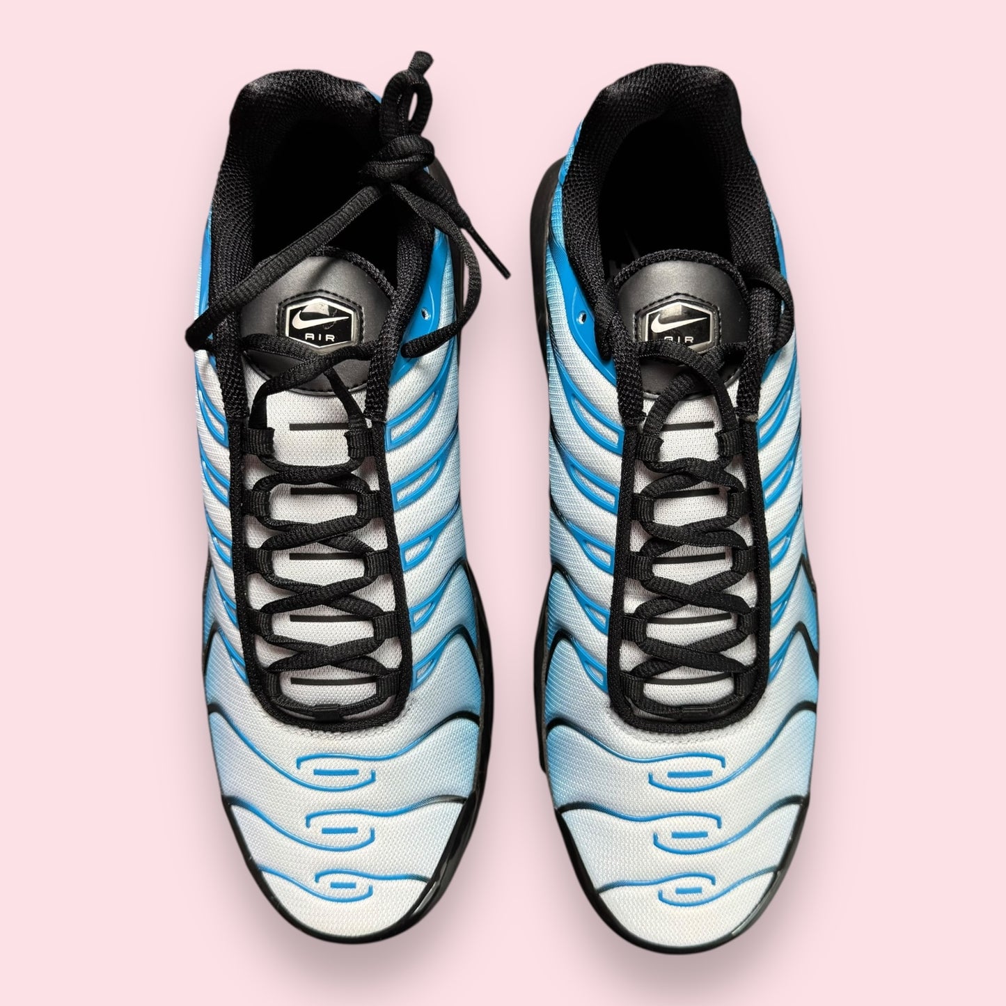 Air Max Plus TN Gradient Blue - 45