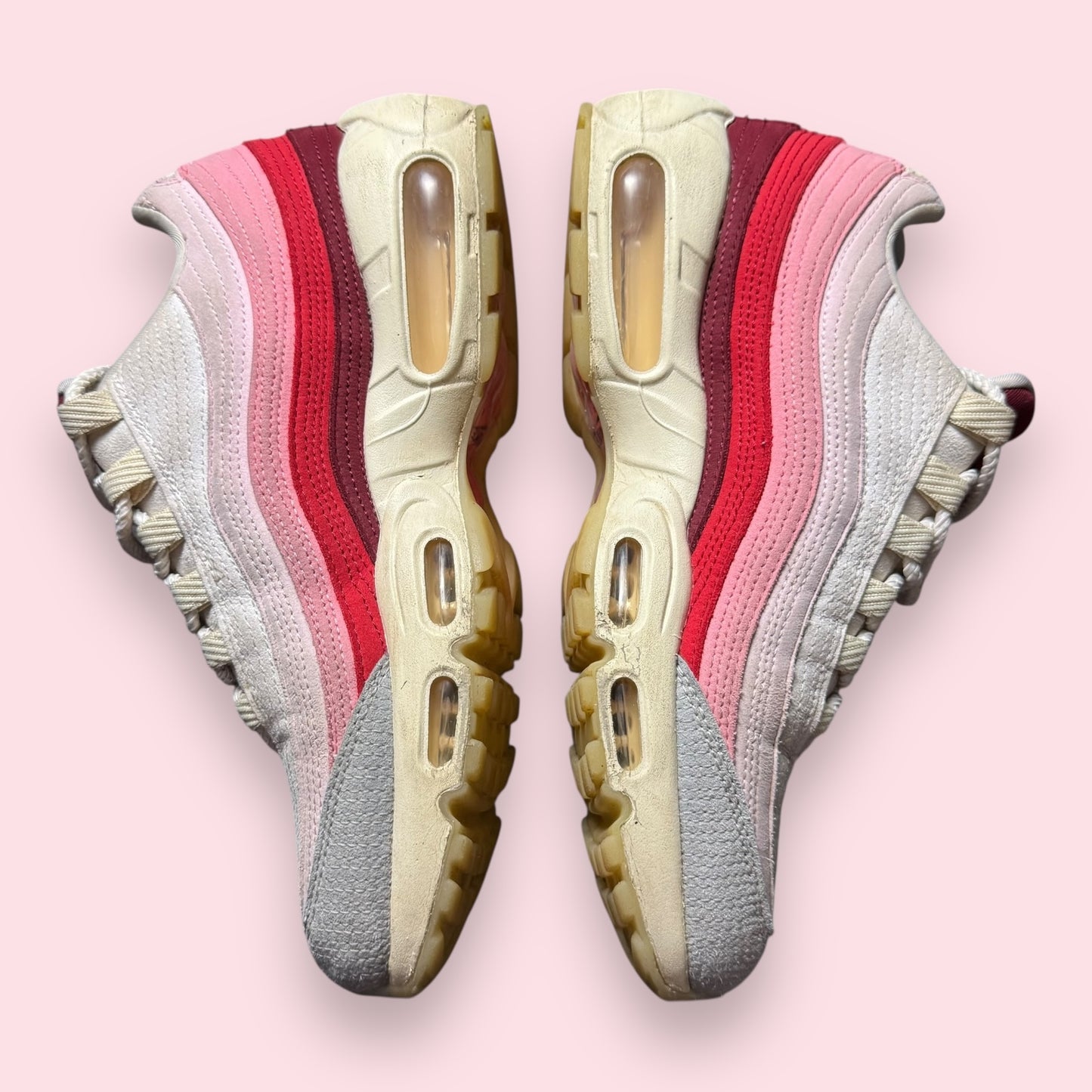 Air Max 95 Anatomy Of Air - 40.5