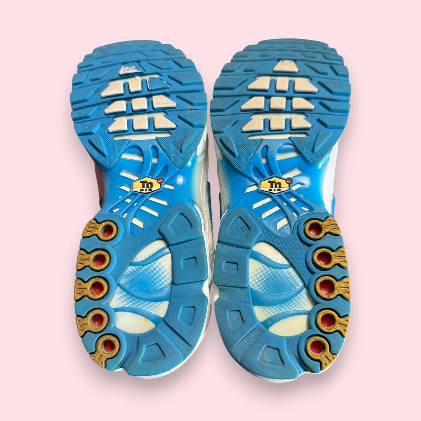 Air Max Plus Tn White Blue - 44